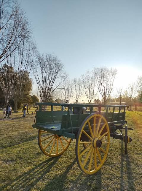 Dia de <span>Campo</span>
